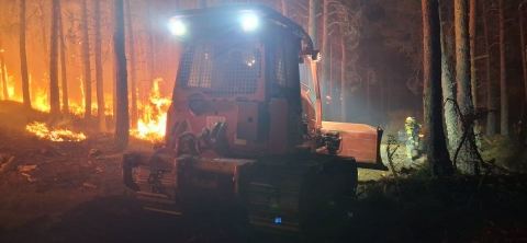 Incendio en Cabeza de Manzaneda - Foto UME
