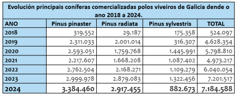 Galicia precisa dobrar a superficie plantada cada ano con con&iacute;feras para deter a regresi&oacute;n dos pi&ntilde;eirais, un ecosistema clave a nivel social, ambiental e de transformaci&oacute;n de valor no pa&iacute;s