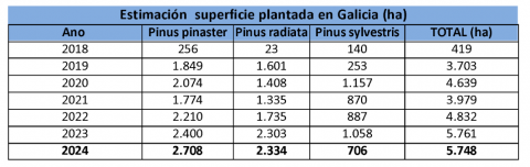 Galicia precisa dobrar a superficie plantada cada ano con con&iacute;feras para deter a regresi&oacute;n dos pi&ntilde;eirais, un ecosistema clave a nivel social, ambiental e de transformaci&oacute;n de valor no pa&iacute;s