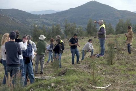 El encuentro trasnacional de Mondariz asienta las bases de futuro de los montes de pino del país